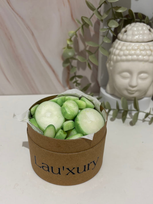 Wax Melts Aloé Vera